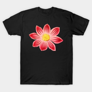 Red and Yellow Flowers Pattern T-Shirt